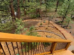 Dancing Pines On Fall River, Estes Park Co