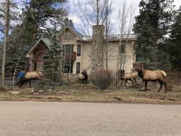 Riverhouse, Estes Park CO