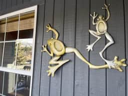 Elk View Mountain Retreat, Estes Park CO